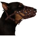 CollarDirect Leather Dog Muzzle for Dalmatian & Setter, Brown, Medium