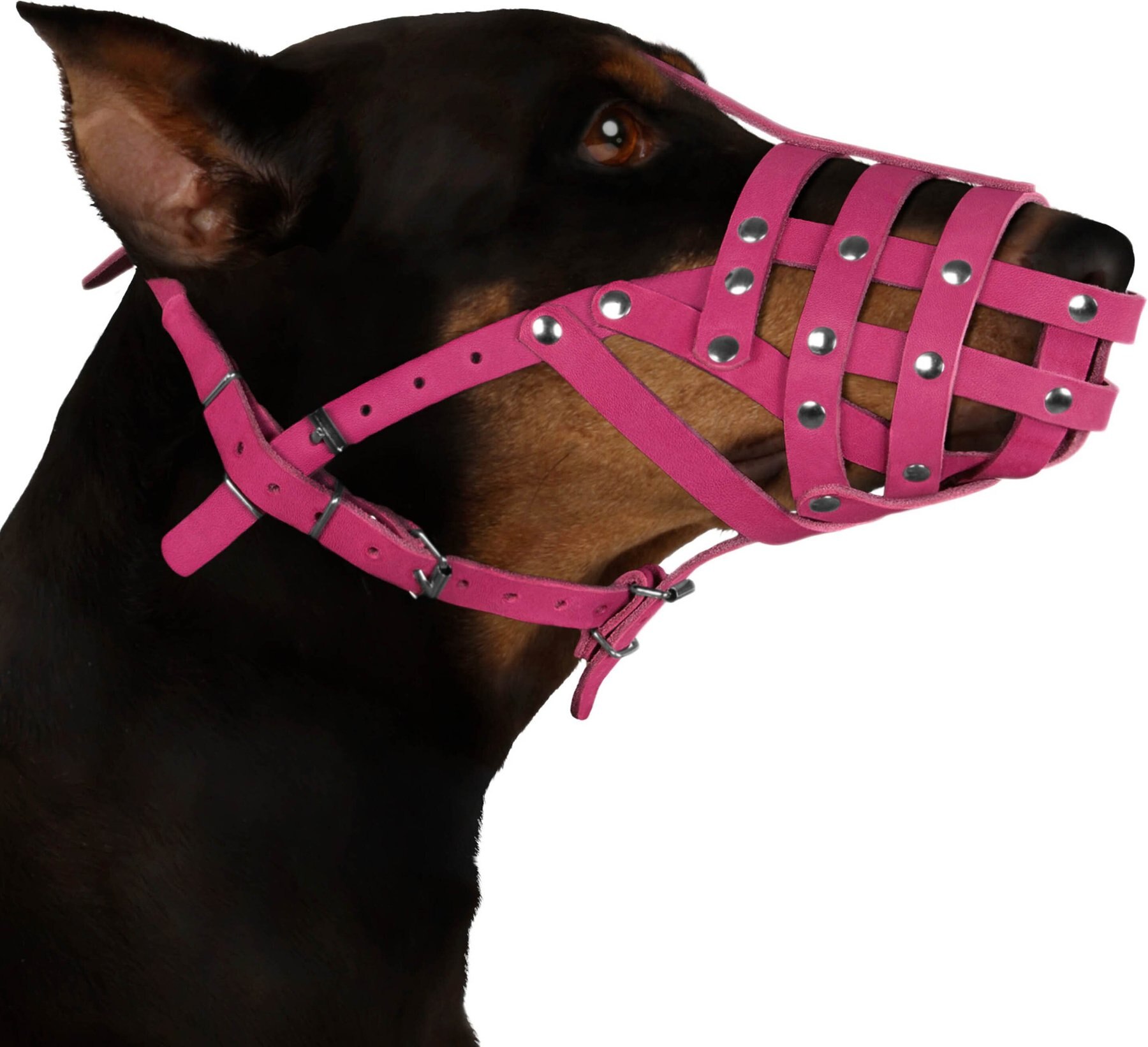 Size 1 to 6 Muzzle for Dog Extremely Tough Durable Maximum safety 