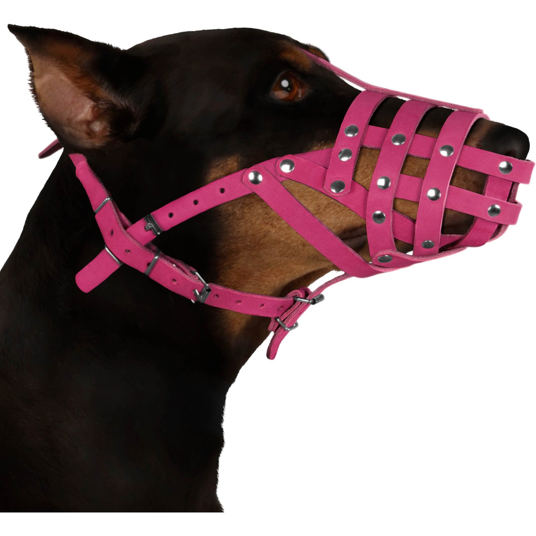 Chewy on sale dog muzzle