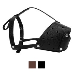 CollarDirect Leather Dog Muzzle for Staffordshire Terrier, Black