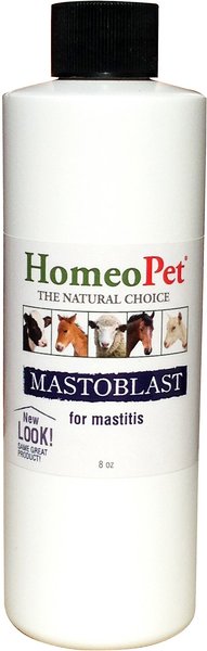 HomeoVet Mastoblast Mastitis Pregnant & Nursing Liquid Farm Animal & Horse Supplement, 240-mL bottle slide 1 of 1