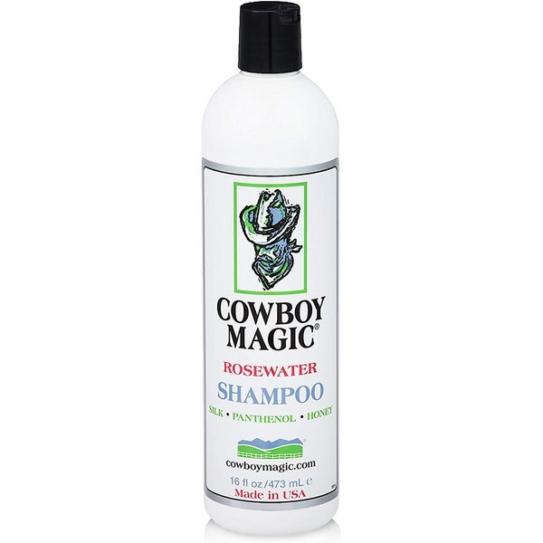 PETHONESTY Chlorhexidine Antibacterial Shampoo Itchy Skin Relief