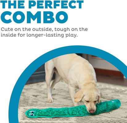 Show full view: Outward Hound Durablez Snake Tough Plush Dog Toy, Turquoise, X-Large slide 2 of 9