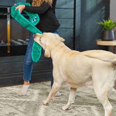 Show full view: Outward Hound Durablez Snake Tough Plush Dog Toy, Turquoise, X-Large slide 5 of 9
