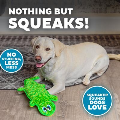 Show full view: Outward Hound Durablez Gecko Tough Plush Dog Toy, Green, Large slide 4 of 8