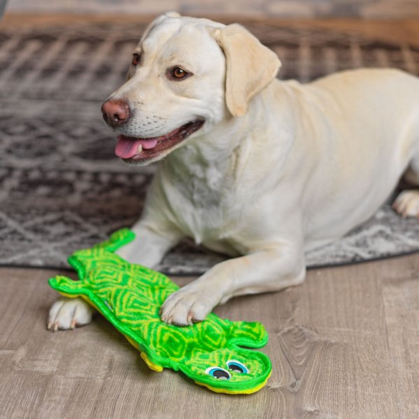 Outward Hound Tough Seamz Dog Toy, Gecko
