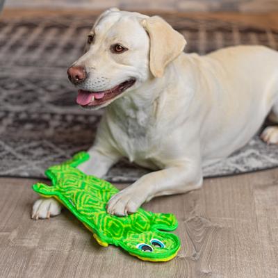 Show full view: Outward Hound Durablez Gecko Tough Plush Dog Toy, Green, Large slide 5 of 8