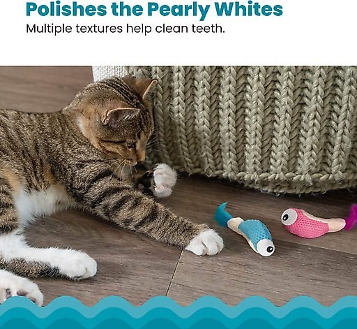 Catstages Dental Shrimpies Cat Chew Toy with Catnip, 2 count