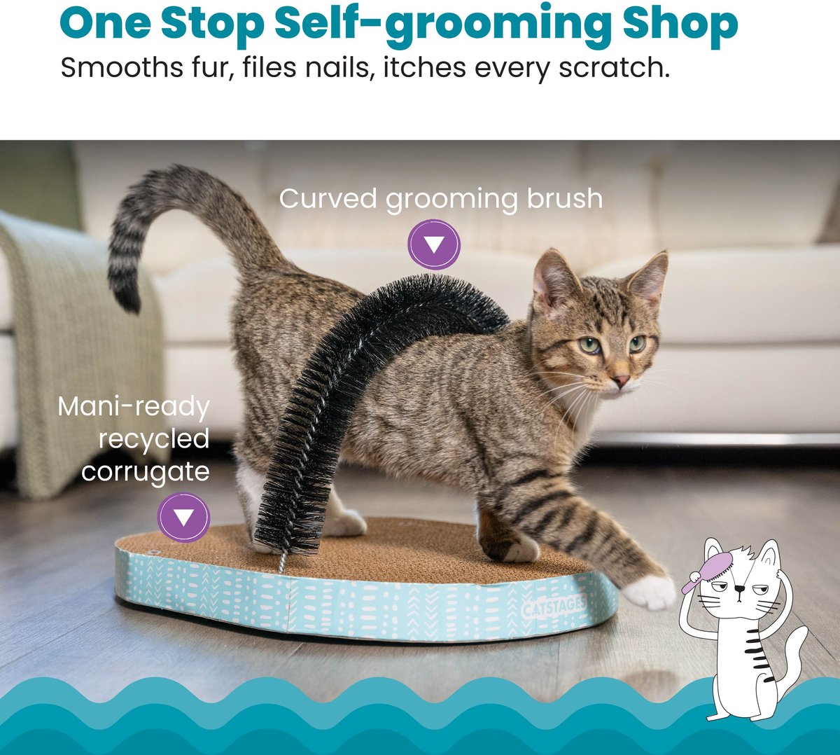 brush and scratch for cats