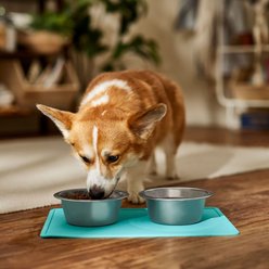 ORE Pet Silicone Dog & Cat Placemat, Aqua slide 2 of 6