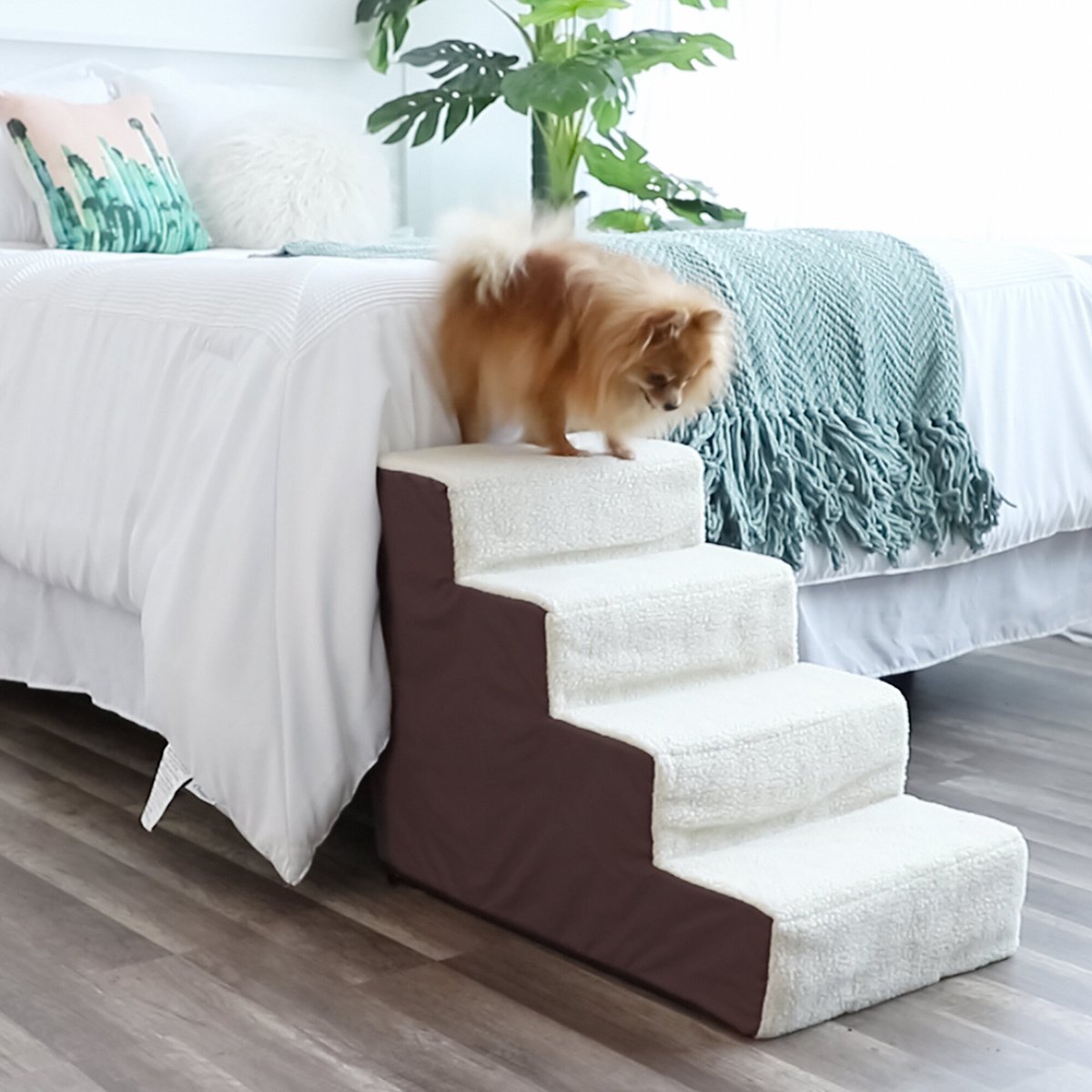 PAWS & PALS 4 Step Dog & Cat Stairs - Chewy.com