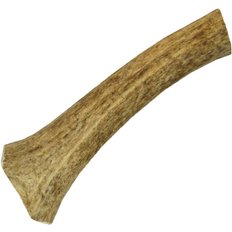 Downtown Pet Supply DTPS Antler Dog Chew