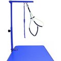 Downtown Pet Supply Collapsible Dog Grooming Arm