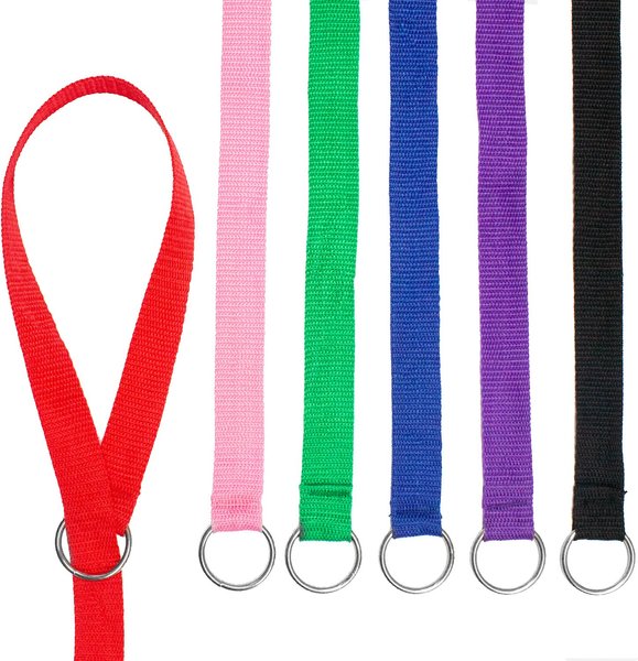 Downtown Pet Supply Slip Dog Leash, Rainbow, 4-ft, 24 count slide 1 of 5