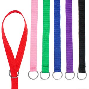 Downtown Pet Supply Slip Dog Leash, Rainbow, 4-ft, 24 count