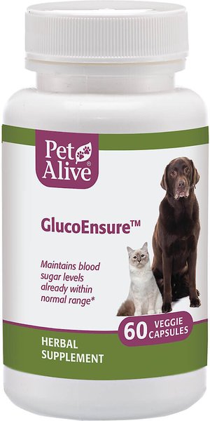 PetAlive GlucoEnsure Blood Sugar Support Dog & Cat Supplement, 60 count slide 1 of 4