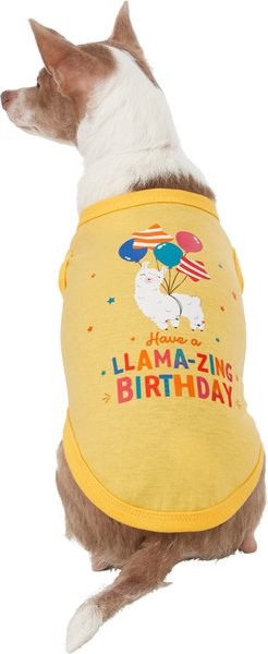 Frisco Llama-zing Birthday Dog & Cat T-Shirt, Small slide 1 of 7