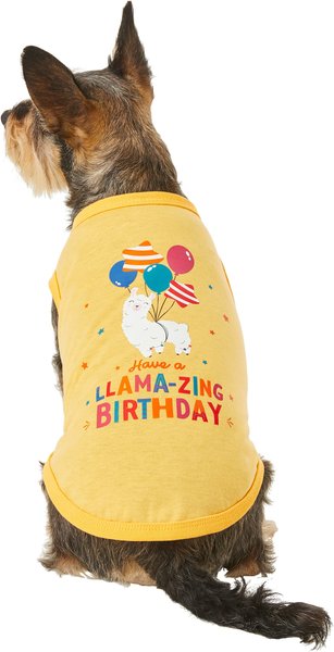 Frisco Llama-zing Birthday Dog & Cat T-Shirt, Medium slide 1 of 8