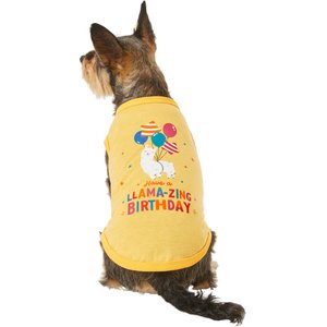 Frisco Llama-zing Birthday Dog & Cat T-Shirt, Medium