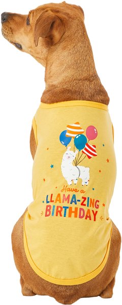 Frisco Llama-zing Birthday Dog & Cat T-Shirt, Large slide 1 of 7