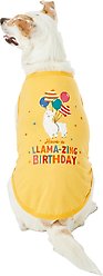 Frisco Llama-zing Birthday Dog & Cat T-Shirt, X-Large