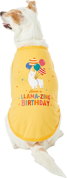 Frisco Llama-zing Birthday Dog & Cat T-Shirt, X-Large slide 1 of 7