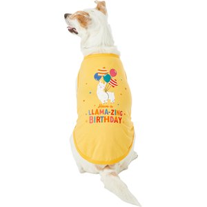 Frisco Llama-zing Birthday Dog & Cat T-Shirt, X-Large