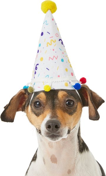 Frisco Confetti Dog & Cat Birthday Hat, X-Small/Small slide 1 of 8