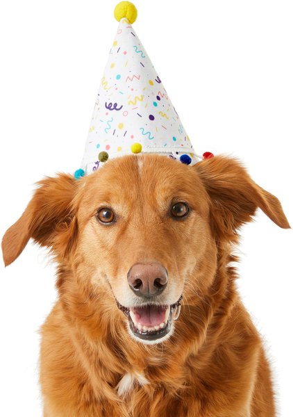 Frisco Confetti Dog & Cat Birthday Hat, Medium/Large slide 1 of 7