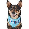 Frisco Pawtriot Dog & Cat Bandana, X-Small/Small