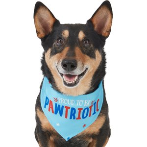 Frisco Pawtriot Dog & Cat Bandana, X-Small/Small
