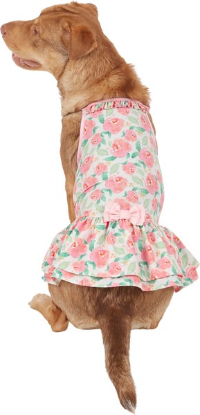 Frisco Pink Floral Dog & Cat Dress, Large slide 1 of 6