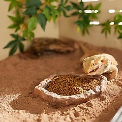Mazuri Bearded Dragon Food, 8-oz bag slide 2 of 7