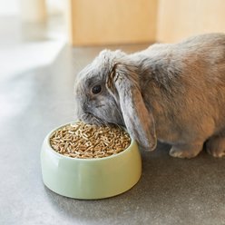 Mazuri Timothy Based Rabbit Food, 25-lb bag slide 2 of 8