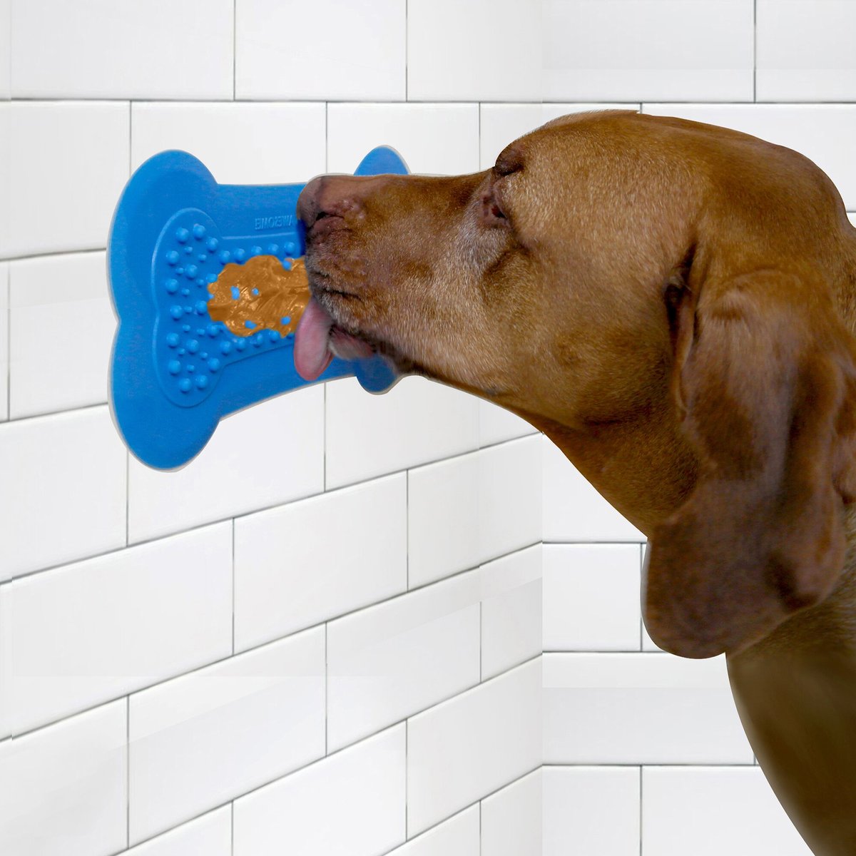 Dog Licking Peanut Butter Gif | isgb.edu.ar