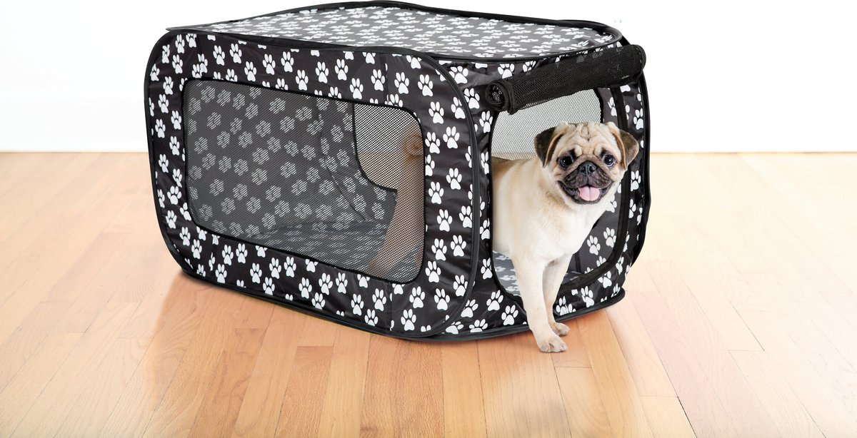 Pop crate 2025 folding pet kennel