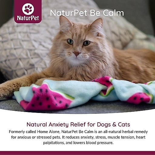 NaturPet Be Calm Pet Supplement, 100-ml bottle