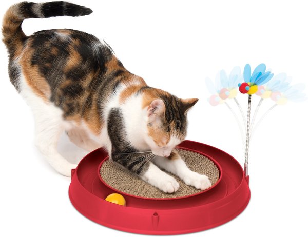 Round cat best sale toy with ball