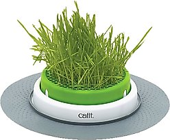Catit Senses 2.0 Cat Grass Planter slide 1 of 8