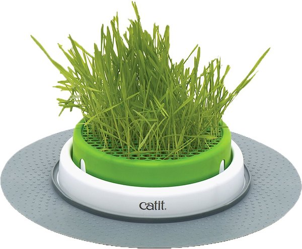 Catit Senses 2.0 Cat Grass Planter slide 1 of 8