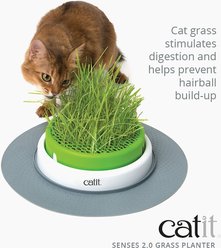 Catit Senses 2.0 Cat Grass Planter slide 2 of 8