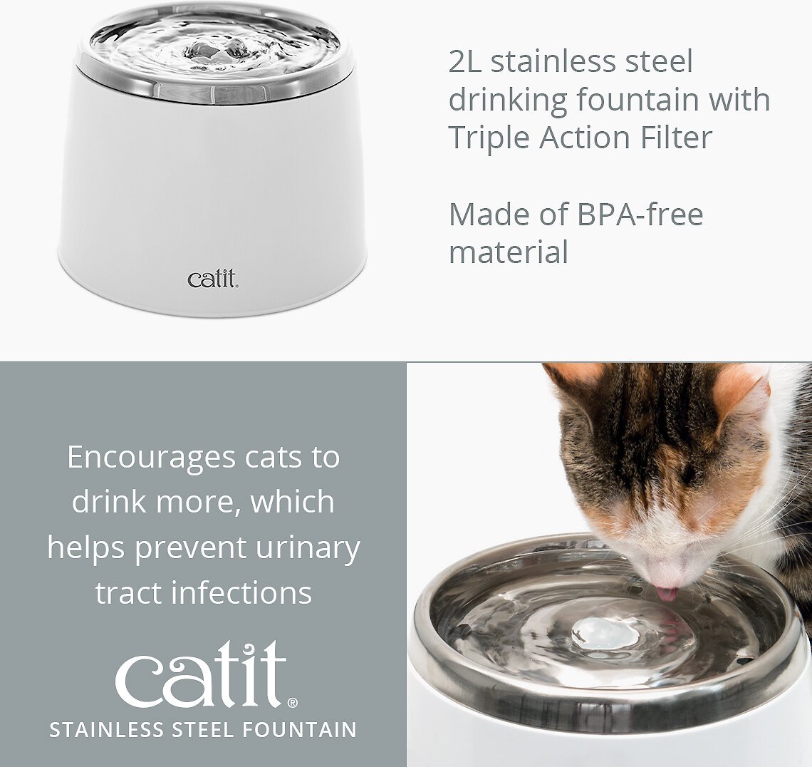 CATIT Fresh Clear Stainless Steel Top Cat Fountain 64 oz Chewy