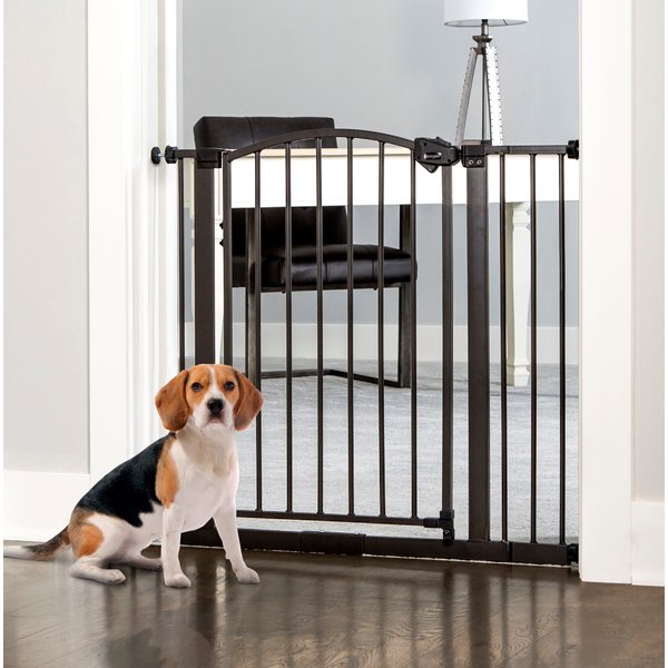 REGALO Pet Products Wide Arched Decor Dog Gate, Bronze, 35-in - Chewy.com