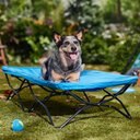 Regalo Pet Products My Cot Elevated Dog Bed, Blue, 48-in