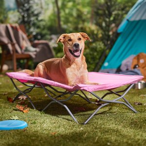 Regalo My Cot Elevated Dog Bed, Pink, 48-in