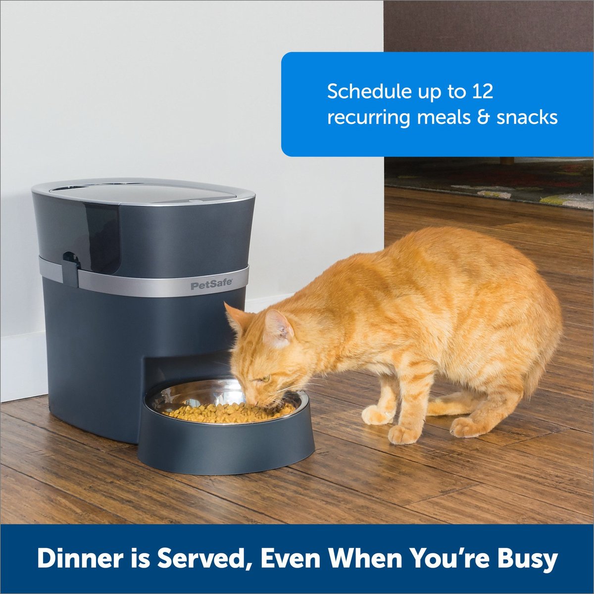 Wifi enabled pet clearance feeder