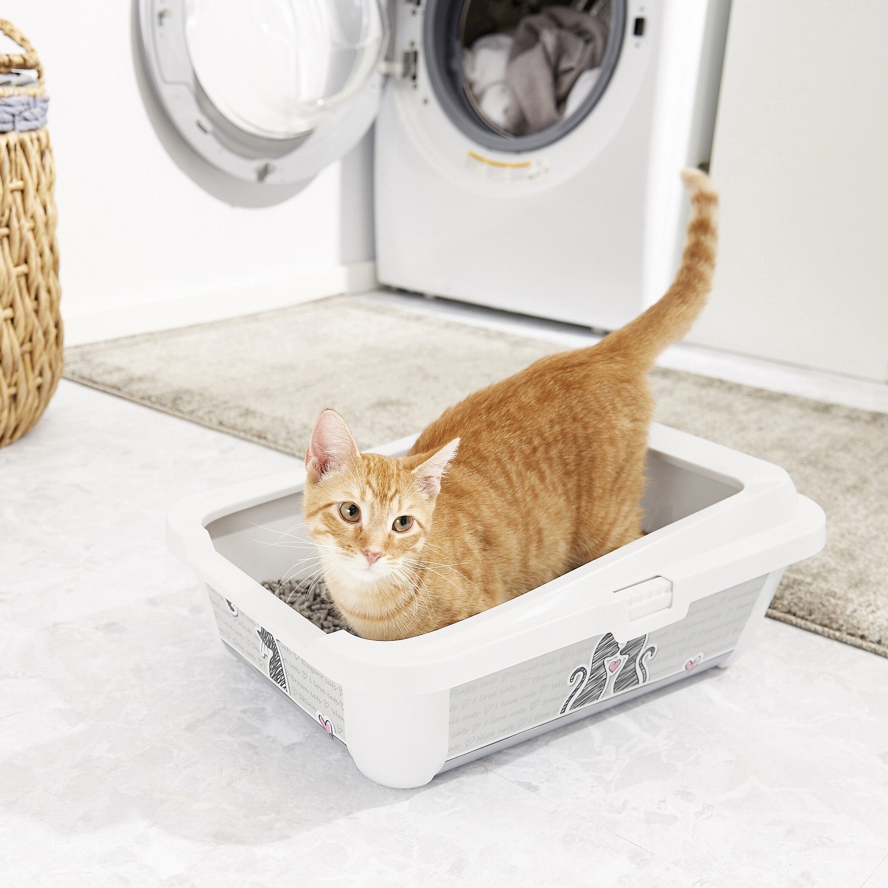 Discontinued FRISCO Feline the Love Litter Box with Rim