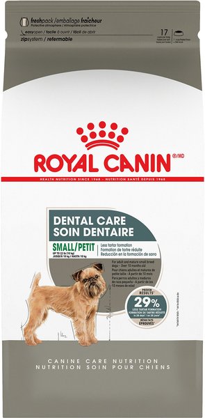 Wapenstilstand Kruipen Slang ROYAL CANIN Canine Care Nutrition Small Dental Care Dry Dog Food, 17-lb bag  - Chewy.com
