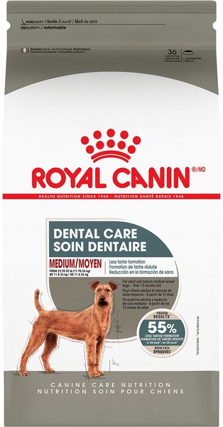 Royal Canin Canine Care Nutrition Medium Dental Care Dry Dog Food, 28-lb bag slide 1 of 8