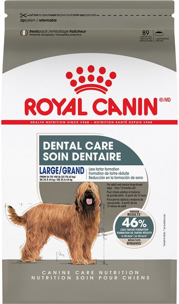 Royal Canin Canine Care Nutrition Large Dental Care Dry Dog Food, 30-lb bag slide 1 of 5
